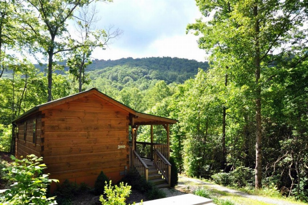 Deer Run Cabin Image 13